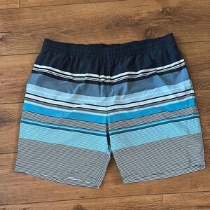 Blue Striped Men's Swim Shorts